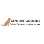 Century Goldens